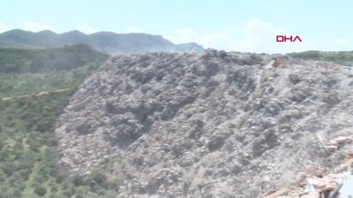 HATAY'DA ORMANA VE ZEYTİNLİĞE DÖKÜLEN MOLOZLAR AĞAÇLARA ZARAR VERİYOR
