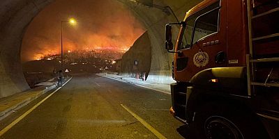 AFAD'dan Mersin'deki orman yangınına ilişkin açıklama