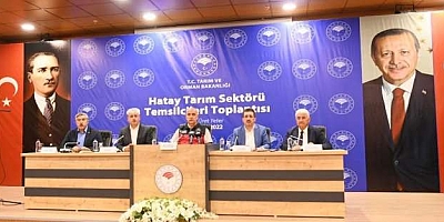 Bakan Kirişci, Hatay'da 