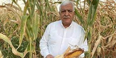 CHP Hatay Milletvekili İsmet Tokdemir  Mısır Fiyatının En Az 7 Lira ve Üstü Olması Gerekiyor Ki Çiftçi Tarıma Devam Etsin