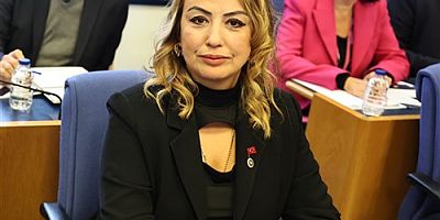 CHP Hatay Milletvekili Nermin Yıldırım Kara, Hatay ve depremden etkilenen diğer illerdeki yurttaşların ruh sağlığına bağlı ilaç kullanıma dair soru önergesi verdi. 