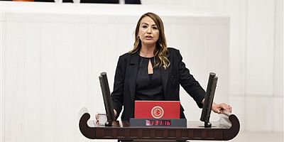 CHP Hatay Milletvekili Nermin Yıldırım Kara, uzman çavuşların özlük ve sosyal haklarının geliştirilmesine dair yazılı bir basın açıklamasında bulundu.