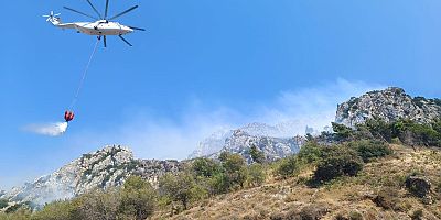 HABİB-İ NECCAR DAĞI'NDA ÇIKAN YANGIN KISA SÜREDE KONTROL ALTINA ALINDI