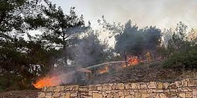 Hatay'da ormanlık alanda çıkan yangın evlere sıçramadan söndürüldü