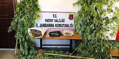 Hatay'da uyuşturucu operasyonu