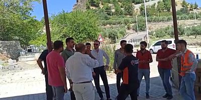 HBB KATLEDİLEN KÖPEKLERLE İLGİLİ RAPOR HAZIRLAYARAK SAVCILIĞA SUÇ İHBARINDA BULUNDU  SAVCILIKTAN YAVRU KÖPEKLERİ KATLEDENLERİN BULUNMASINI İSTEDİ