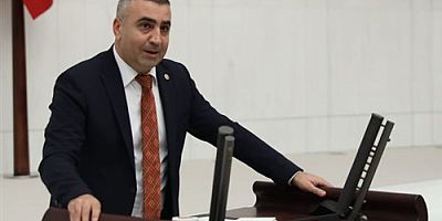 MHP'Lİ KAŞIKÇI, SAMANDAĞ'IN KUŞ CENNETİNİ TBMM'YE TAŞIDI